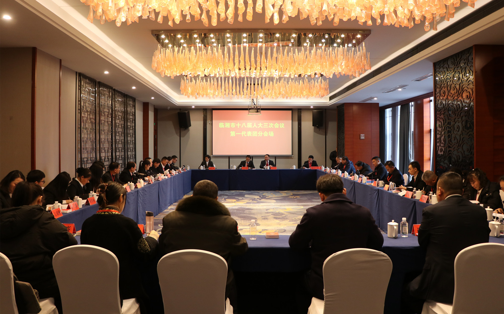 12.20书记 临湘市十八届人大三次会议第一代表团分会场_副本.jpg